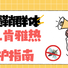 基孔肯雅热来袭：脱髓鞘患者的生存防御指南