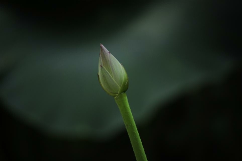 093535nvtkdw2gfvkkkbbt.jpg