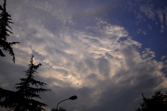 190948n9yzvv8en8msa9fc.jpg