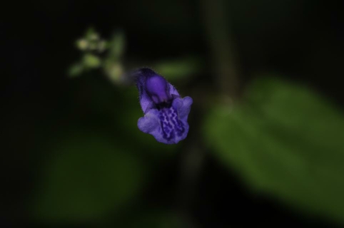 092220az0x66ek80u619zn.jpg