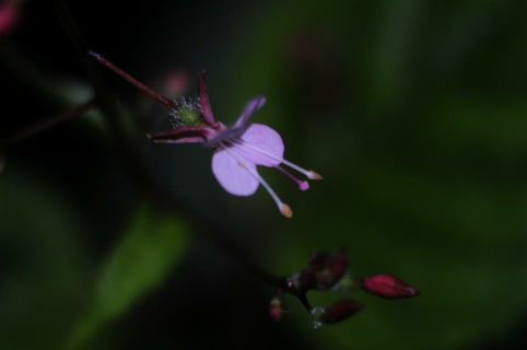 092226p557jiz75crzbz5t.jpg