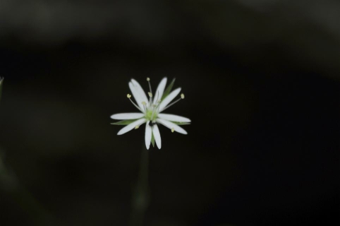 092228r6u15lyvuq6c52g5.jpg