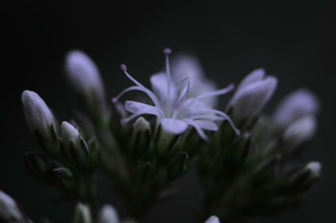 092409j0or3ukg5tfftrfr.jpg