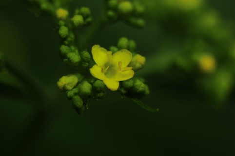094319flkkqcyp1t0bbn6i.jpg