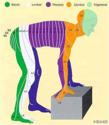 365_cv700.jpg