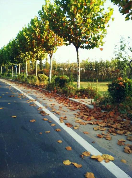 104444ekfwec6bkjwqkjl3.jpg