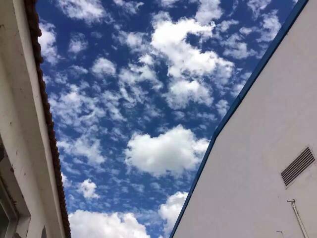 102020p0uz7uvwd0g3ldt7.jpg