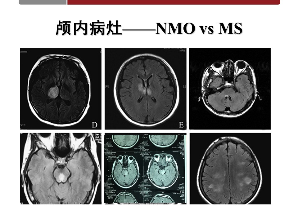 幻灯片14.JPG