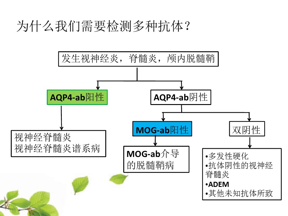 幻灯片19.JPG