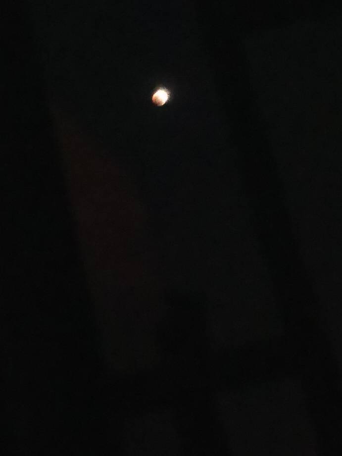 210257boed66pepjuos66p.jpg