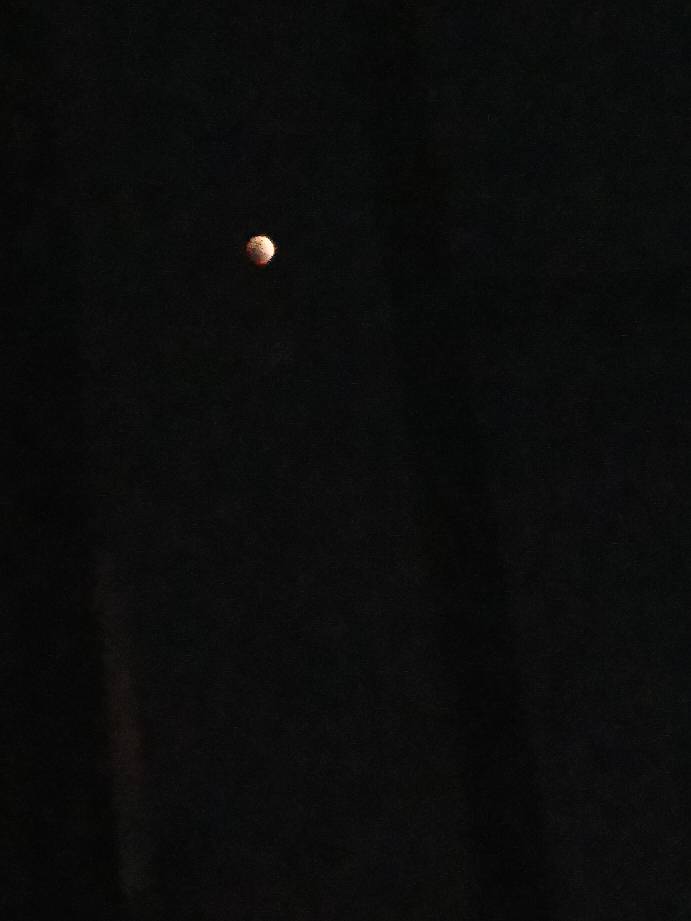 210302teeu040et0rr8419.jpg
