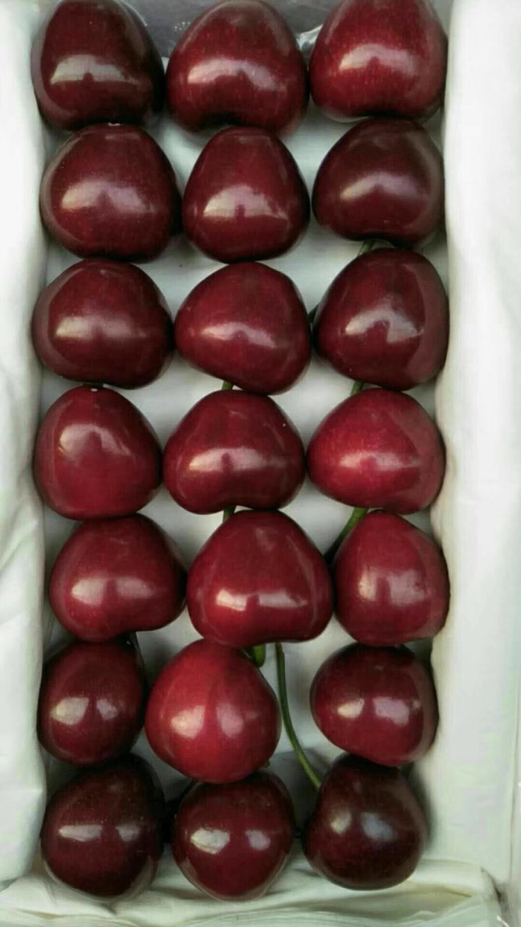120