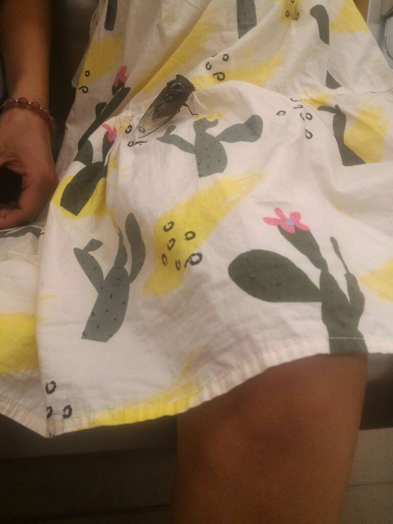 120