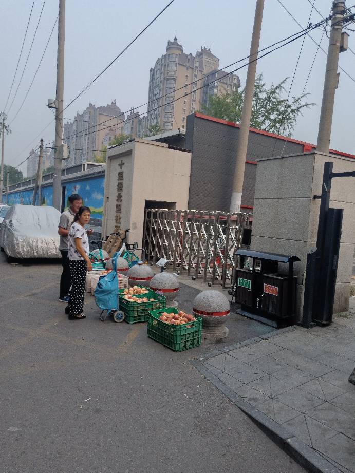 070423pfml4lvynpm5em7g.jpg