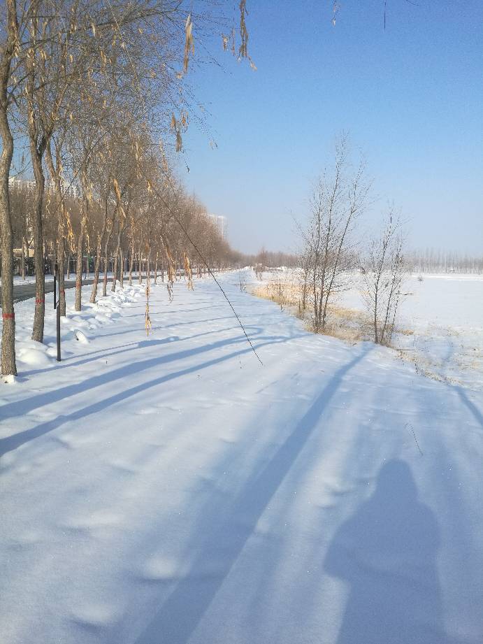 160138zn0rn0zencgesrnr.jpg