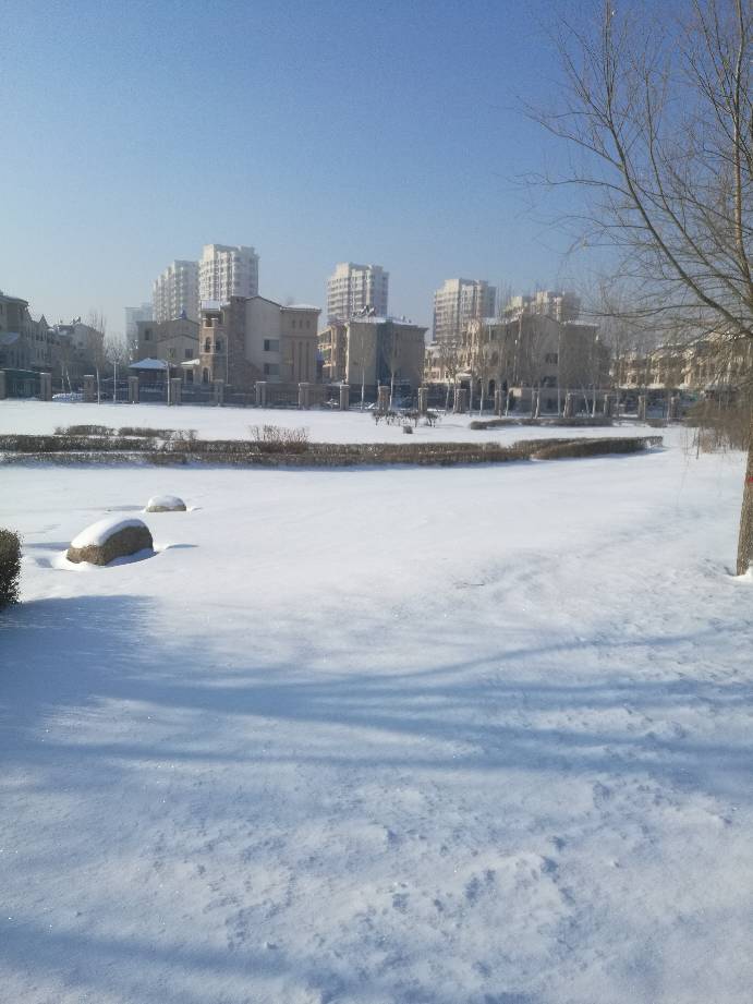 160139puegf66uwwtvvhfb.jpg