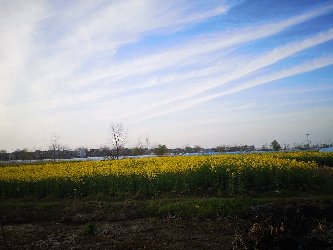 134121lho5mm6xx4hatoo5.jpg