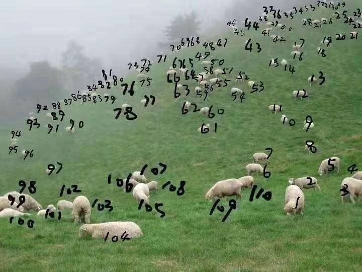 135220x7767n7gh7nal3lg.jpg