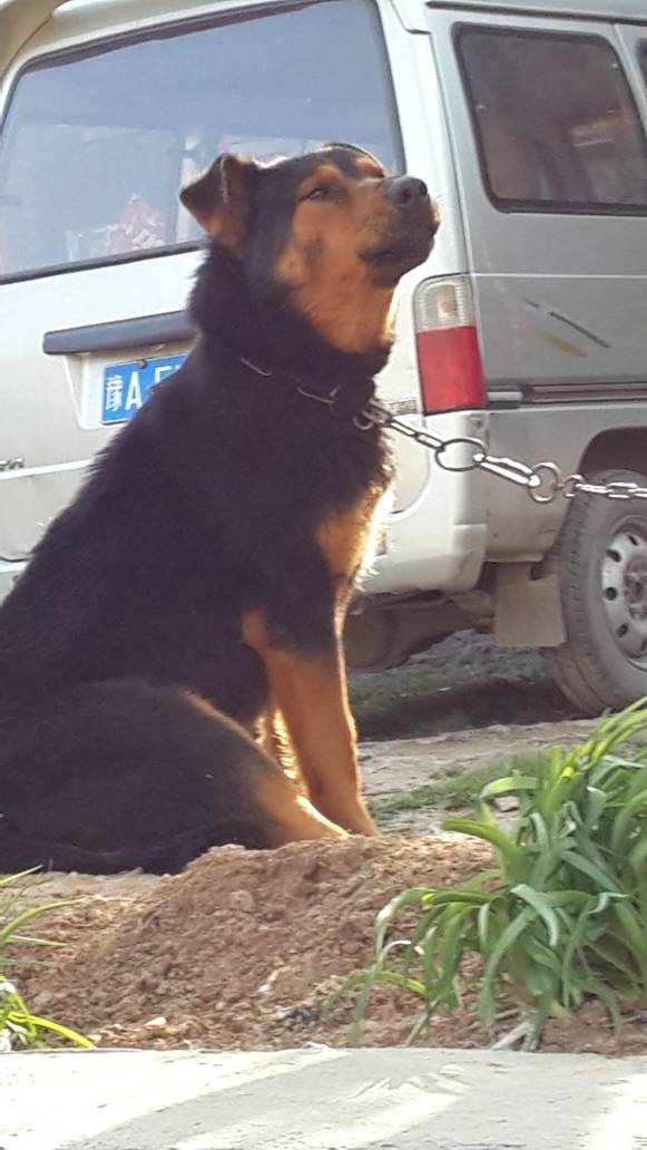 124727pzdyayi8o59fotta.jpg