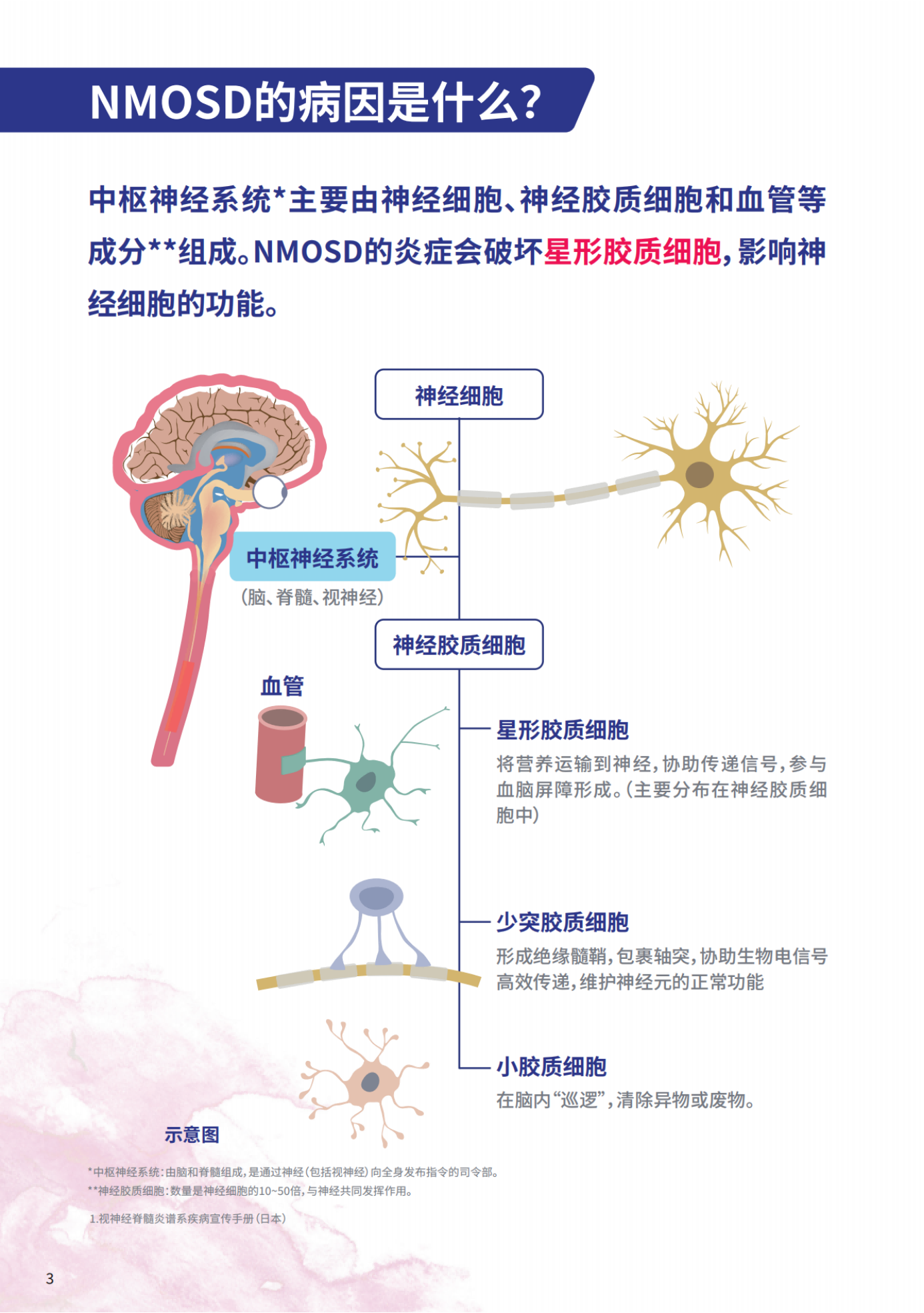 视神经脊髓炎患者知识手册_纯图版_05.png